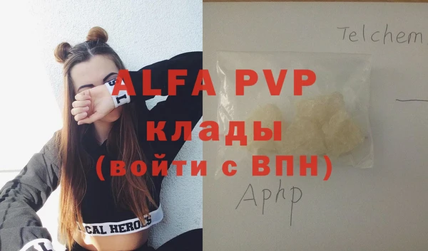 spice Богданович