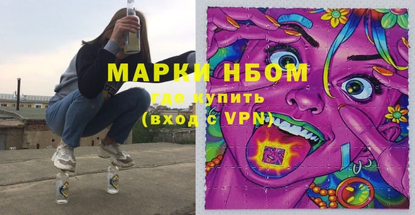 гашик Богородск