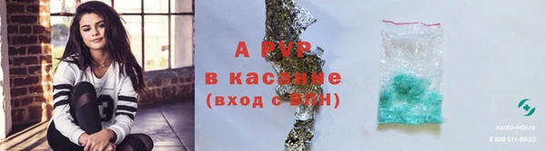 spice Богданович