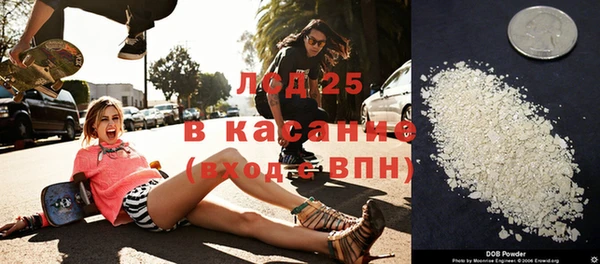 spice Богданович