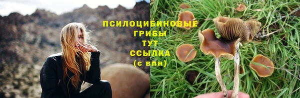соль ск Белокуриха