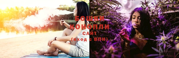 spice Богданович